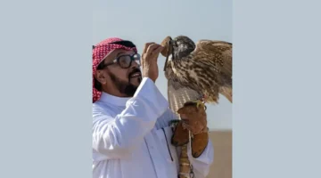 صيد الصقور إرث الأجداد الذي يعود بقوة ليأسر قلوب الشباب من جديد